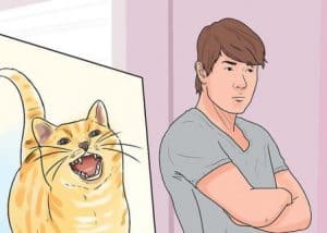 How to Discipline a Cat in the Right Method